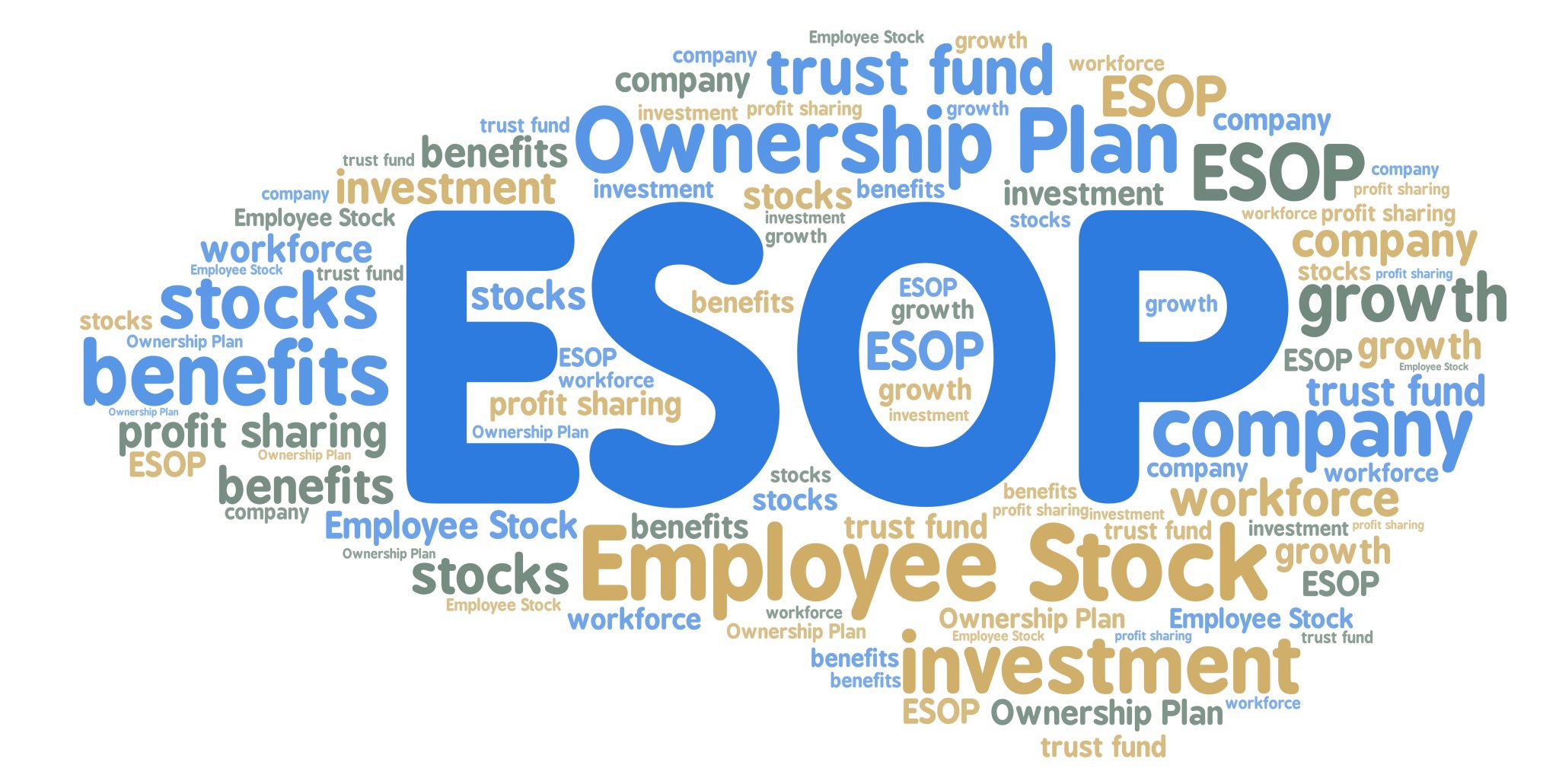 ESOP Guide for Startups: Equity Plans Explained